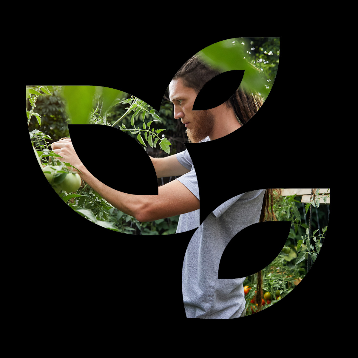 leaf shape graphic with photo of man gardening