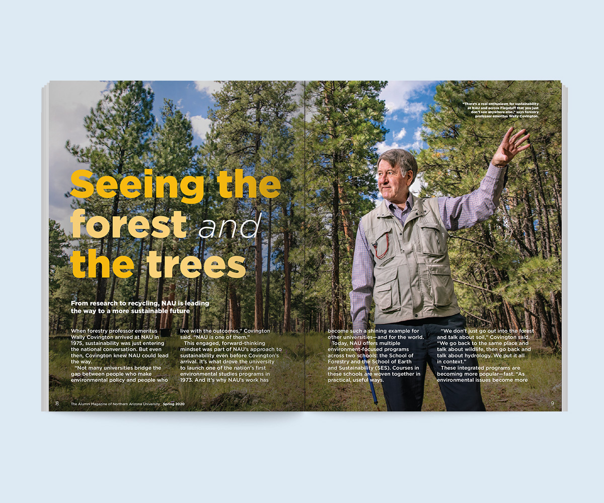 magazine spread: Forestry