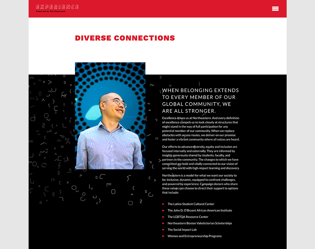 Web page - Diverse Connections