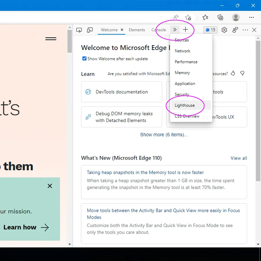 Microsoft Edge with path to Lighthouse tools highlighted.