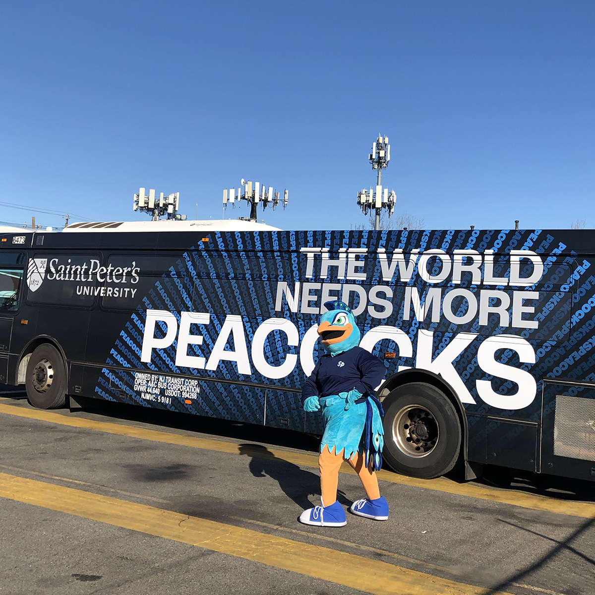 bus wrap with peacock mascot
